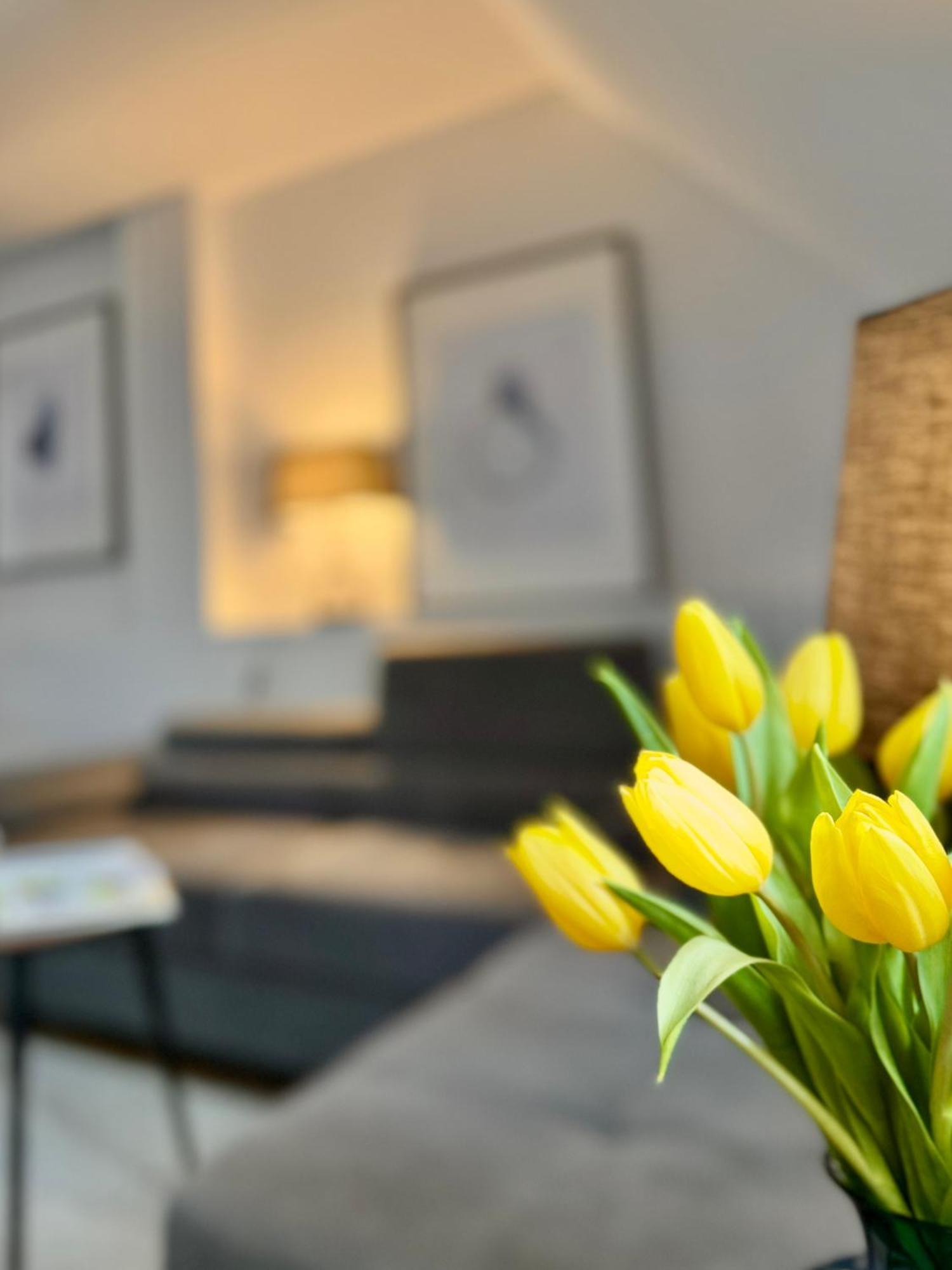 Dwupietrowy Apartament W Centrum Miasta Z Darmowym Miejscem Parkingowym Pod Zlotym Lwem VIII Клодзко Экстерьер фото
